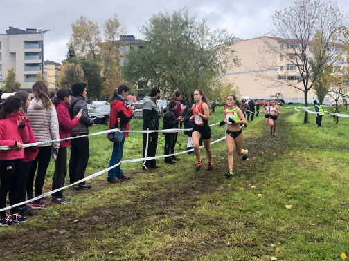 ACTIVIDAD FIN DE SEMANA 23 Y 24 DE NOVIEMBRE